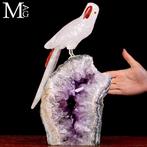 Vogelverzameling: Vleugelpracht Kraagparkiet-sculptuur in