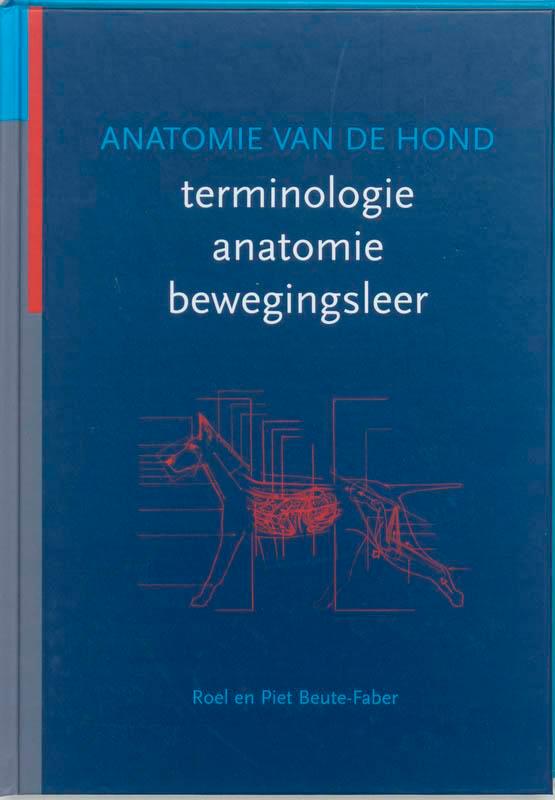 Anatomie van de hond 9789077462027 R. Beute-Faber, Boeken, Wetenschap, Zo goed als nieuw, Verzenden