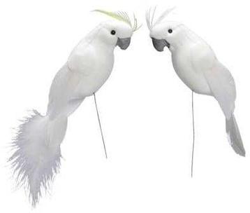 Papegaaien Wit 18 cm 4 stuks beschikbaar voor biedingen