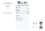 ALGT Gecertificeerd - Enorme Natuurlijke Rotskristalhanger -