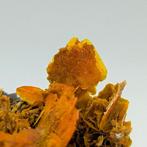 Riccio de WULFENITE orange, élégant, Iran Cristaux sur