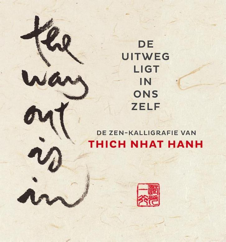 De uitweg ligt in ons zelf 9789045318394 Thich Nhat Hanh, Boeken, Esoterie en Spiritualiteit, Zo goed als nieuw, Verzenden