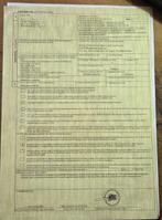 Vinkleurige papegaai - Ring gesloten - en origineel, Nieuw