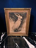 A. J. van ’t Hoff (1893–1939) - Kaketoe