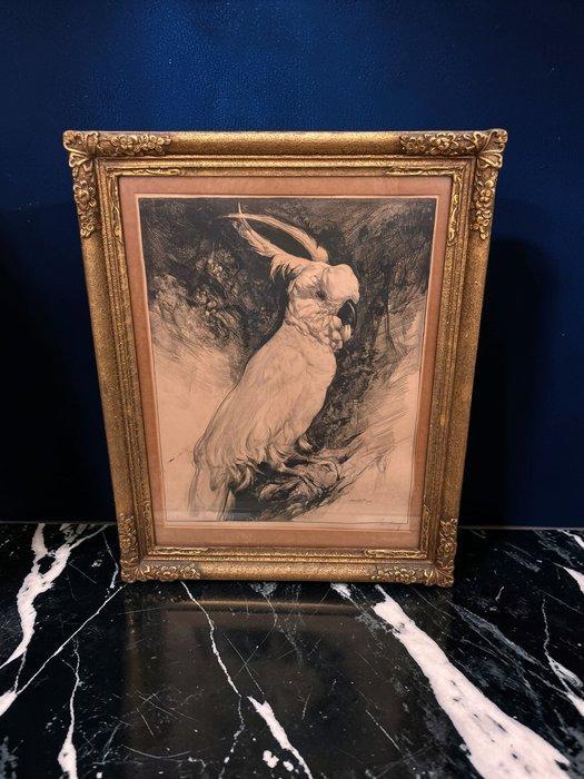 A. J. van ’t Hoff (1893–1939) - Kaketoe, Antiek en Kunst, Kunst | Schilderijen | Klassiek