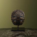Schildpad Schild op Standaard, Verzamelen, Ophalen of Verzenden, Nieuw, Reptiel of Amfibie, Opgezet dier