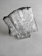 Aletai meteoriet IJzer meteoriet - Hoogte: 91.8 mm -, Verzamelen, Mineralen en Fossielen