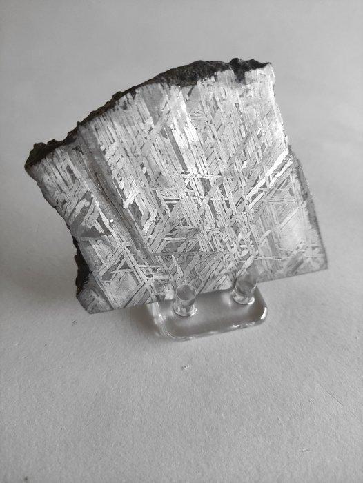 Aletai meteoriet IJzer meteoriet - Hoogte: 91.8 mm -, Verzamelen, Mineralen en Fossielen