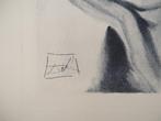 Salvador Dali (1904-1989) - Paradis 7 : Dante pensif, Antiek en Kunst