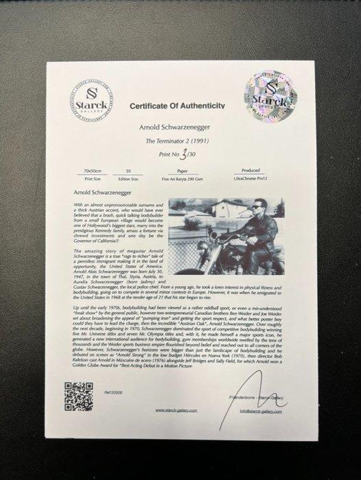 Arnold Schwarzenegger - Terminator 2 Judgment Day - Fine Art, Verzamelen, Film en Tv