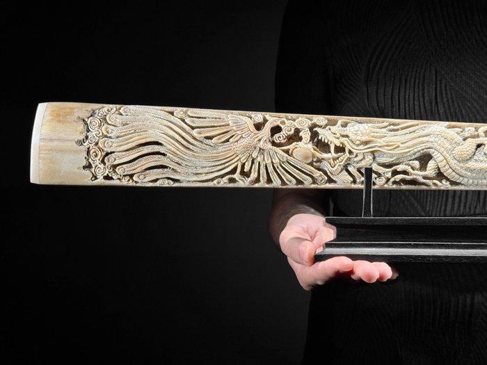 Sans prix de réserve - Rostre de espadon finement sculpté,, Verzamelen, Dierenverzamelingen