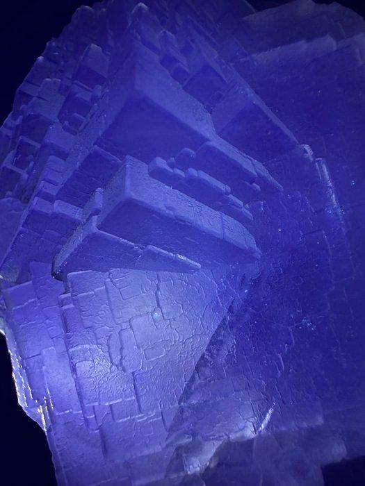 Colossale fluorite grise fluorescente Cristaux sur matrice -, Antiek en Kunst, Curiosa en Brocante