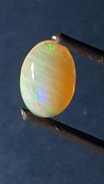 Opaal Cabochon- 0.5 g - (1), Verzamelen