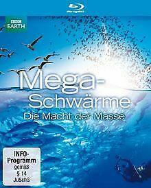 Megaschwärme - Die Macht der Masse [Blu-ray] von John Downer, Cd's en Dvd's, Blu-ray, Gebruikt, Verzenden