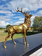 Beeld, hert staande 55 cm - 55 cm - polyresin, Antiek en Kunst