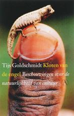 Kloten van de engel 9789025363369 T. Goldschmidt, Boeken, Verzenden, Gelezen, T. Goldschmidt