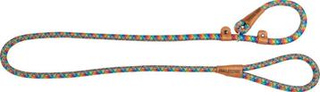 School leash regenboog