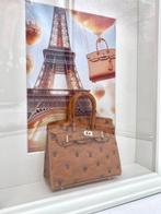 MVR - Birkin Rain in Paris