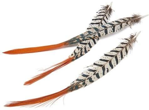 Fazantenveren Lady Amherst Orange Tip ca. 6 stuks, Hobby & Loisirs créatifs, Bricolage