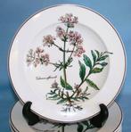 Villeroy & Boch - Set soepkommen (6) - Botanica - Vitro, Antiek en Kunst