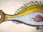 Conrad Gesner [Konrad Gessner] 1516-1565: Sea Bream, marine