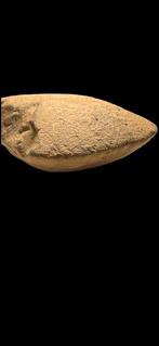 Neolithisch Steen Hache - 9 cm (Zonder Minimumprijs)