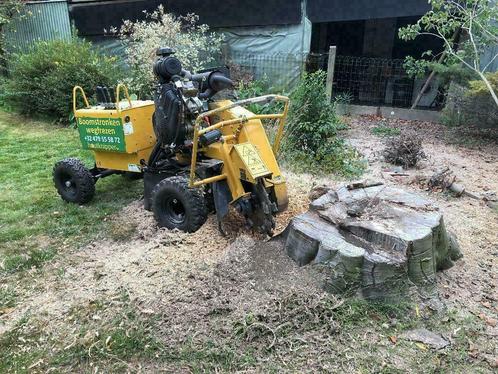 Verwijderen van stronk, boomstronk of wortel, Diensten en Vakmensen, Tuinmannen en Stratenmakers, Bestrating, Hekwerk of Schuttingen