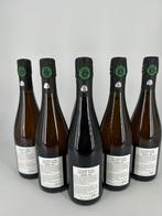 2021 Benoit Dehu, Cuvée Initiation - Champagne Brut Nature,