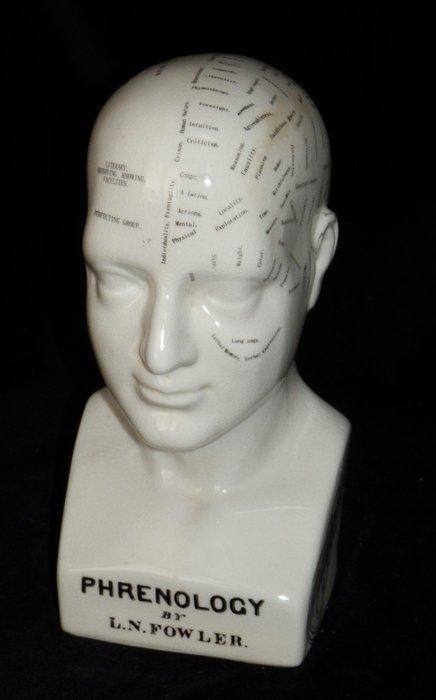 Hoofd ornament - Model Phrenology Hoofd - Dr. L.N.Fowler, Antiek en Kunst, Curiosa en Brocante