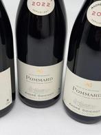 2022 André Goichot - Pommard - 3 Flessen (0.75 liter), Nieuw