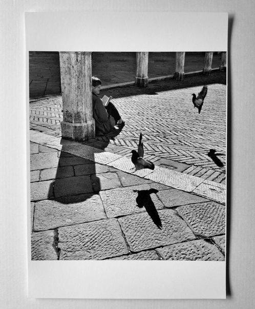 Claudio Montecucco - Meravigliarsi, Antiek en Kunst, Kunst | Schilderijen | Modern