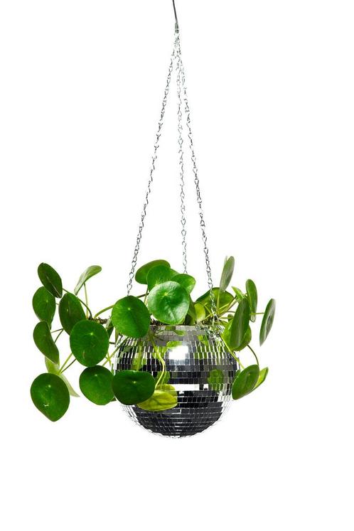 Discobal Hangpot Hangplant 20 cm Hangende Plantenpot Bloempo, Hobby en Vrije tijd, Feestartikelen, Nieuw, Ophalen of Verzenden