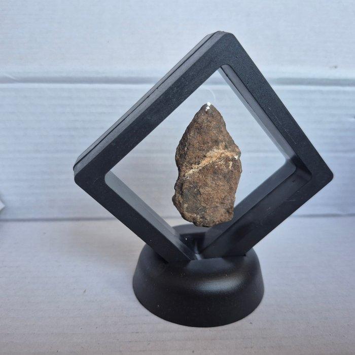 Al Haggounia 001 meteoriet - Al haggounia meteoriet - Op, Verzamelen, Mineralen en Fossielen