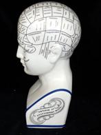 Parure de tête - Model Phrenology Hoofd - Dr. L.N.Fowler, Antiek en Kunst