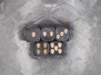 Dés - Freemasonry Vanitas Relic of the Religious Occult -