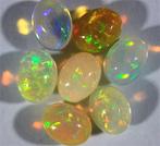Ct. 6.30 Natuurlijke Ethiopische Opalen Cabochon - Hoogte: 8, Verzamelen, Mineralen en Fossielen