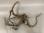 Spiderwood Selected SW40 - 58x56x14cm (Spider wood), Ophalen of Verzenden, Nieuw, Plant(en), Steen of Hout