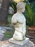 Sculpture, Busto Dorso Eracle - 39 cm - Pierre (pierre