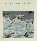 Animal Navigation, Verzenden