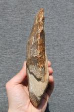 Paléolithique Silex Hache - 20 cm