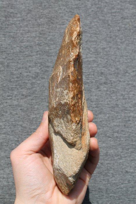 Paléolithique Silex Hache - 20 cm, Antiek en Kunst, Antiek | Overige Antiek