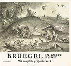 Bruegel in zwart en wit 9789463887199 Maarten Bassens, Verzenden, Zo goed als nieuw, Maarten Bassens