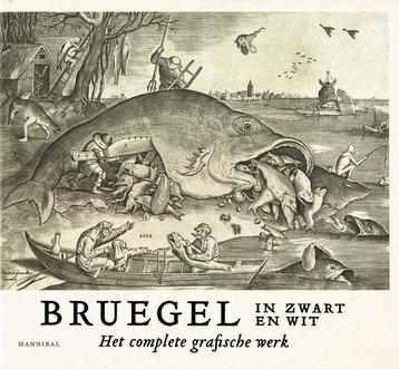 Bruegel in zwart en wit 9789463887199 Maarten Bassens, Verzenden, Maarten Bassens