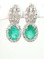 Boucles doreilles - 18 carats Or blanc Émeraude - Diamant, Handtassen en Accessoires, Oorbellen, Nieuw