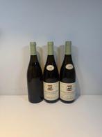 2005 Louis Carillon & Fils Les Perrières - Puligny, Nieuw