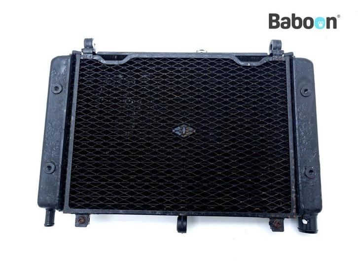 Radiateur Yamaha FZS 1000 Fazer 2001-2005 (FZS1000 5LV 1C2), Motoren, Onderdelen | Yamaha, Gebruikt, Verzenden