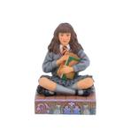 Harry Potter Hermione Brilliant and Confident 10 cm, Verzamelen, Harry Potter, Ophalen of Verzenden, Nieuw