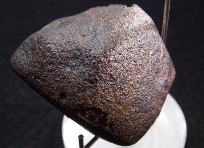 Belle meteoriet chondriet - Hoogte: 54 mm - Breedte: 52 mm -, Verzamelen, Mineralen en Fossielen