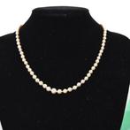 Zonder minimumprijs - Halsketting - 18 karaat Geel goud, Nieuw