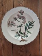 Villeroy & Boch - Bord (6) - Botanica - Porselein